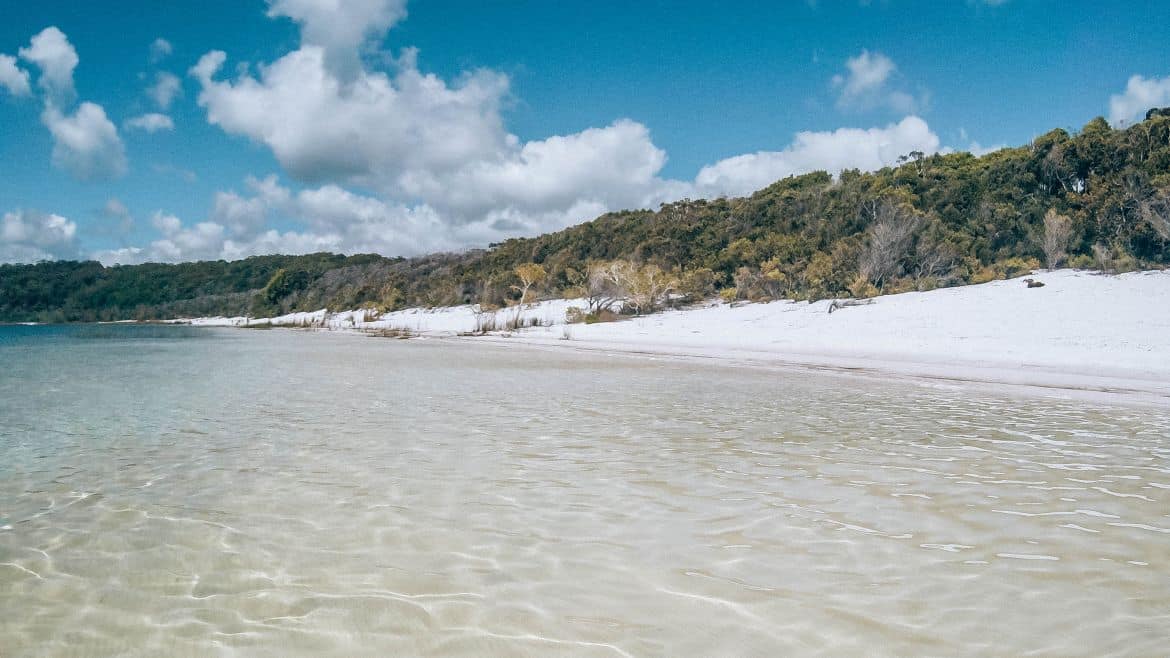 Things to Do in Fraser Island 14 MUST SEE Attractions Things to Do in Fraser Island 14 MUST SEE Attractions