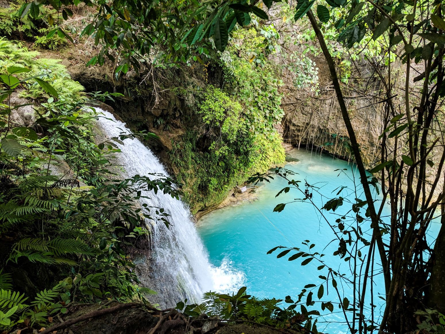 Kawasan Waterfalls: The Complete & Honest Guide to Kawasan Falls ...