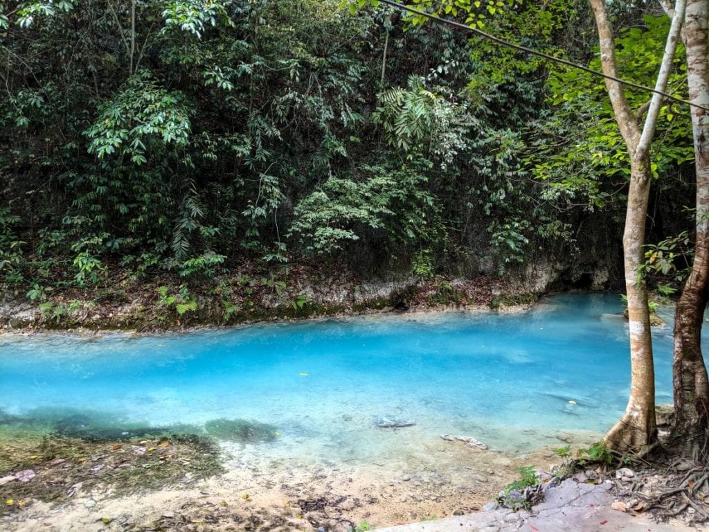 Kawasan Waterfalls: The Complete & Honest Guide to Kawasan Falls ...